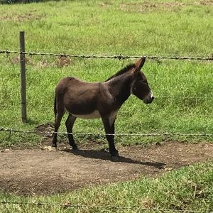 Meet your Posher, Dave